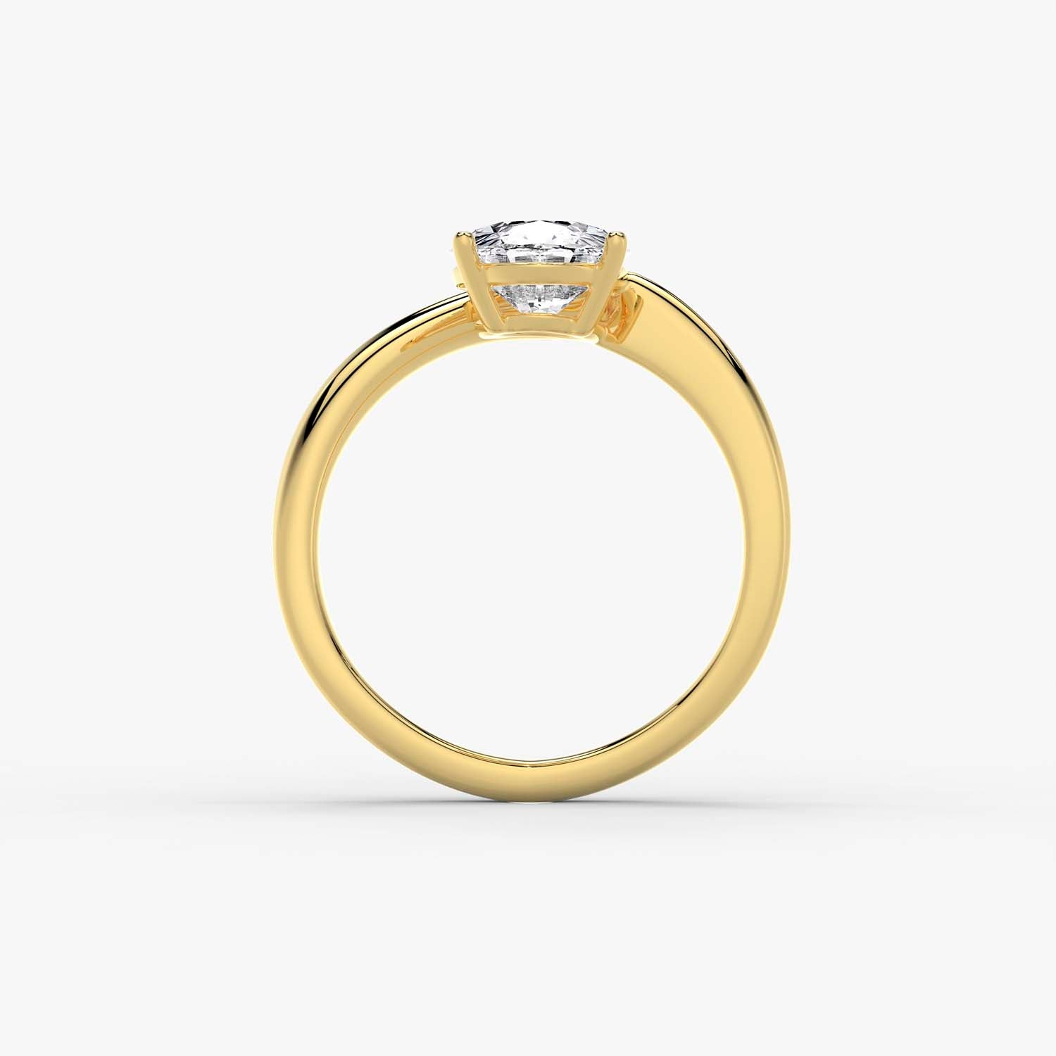 The Asymmetrical Current Ring