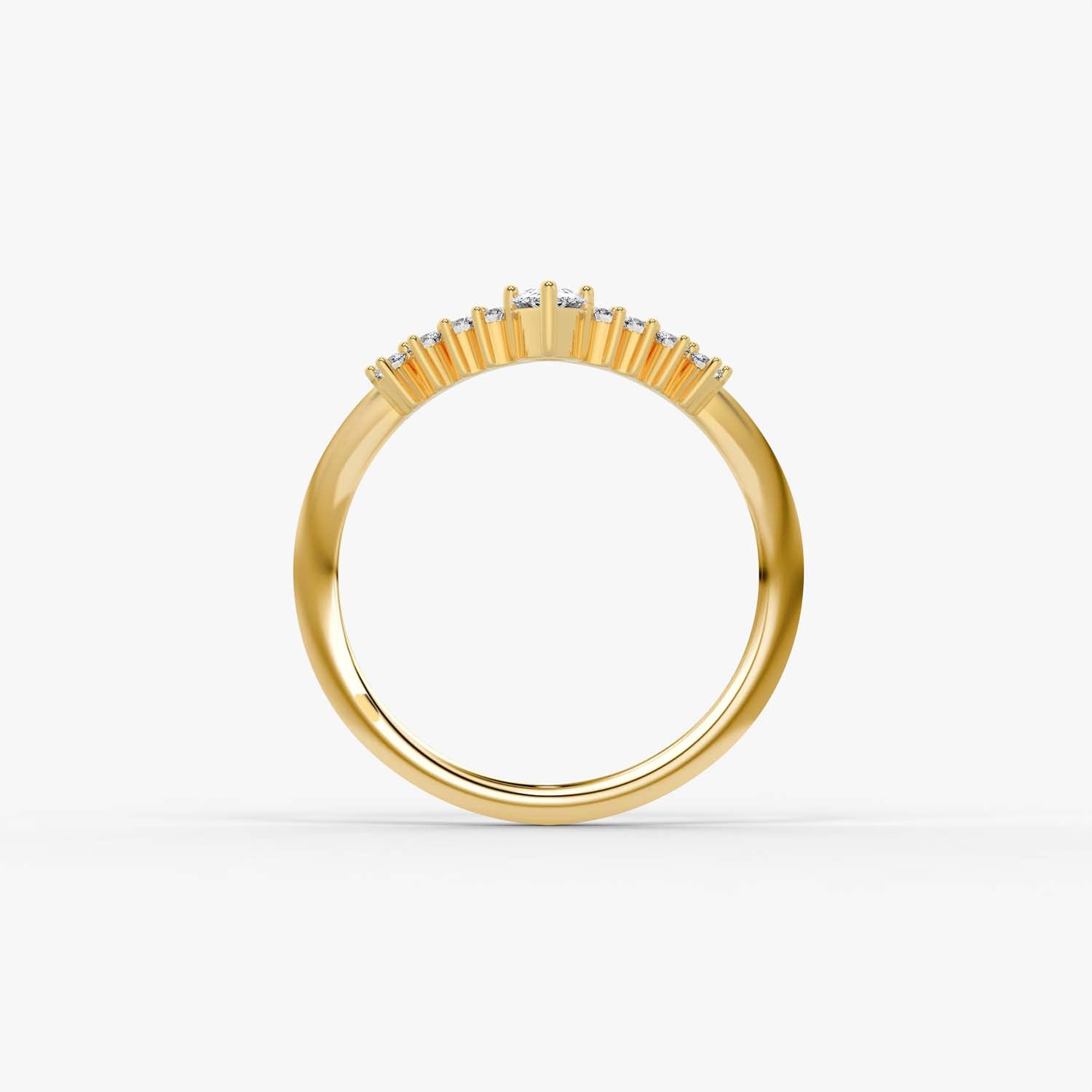 The Fine Micro Cluster Ring