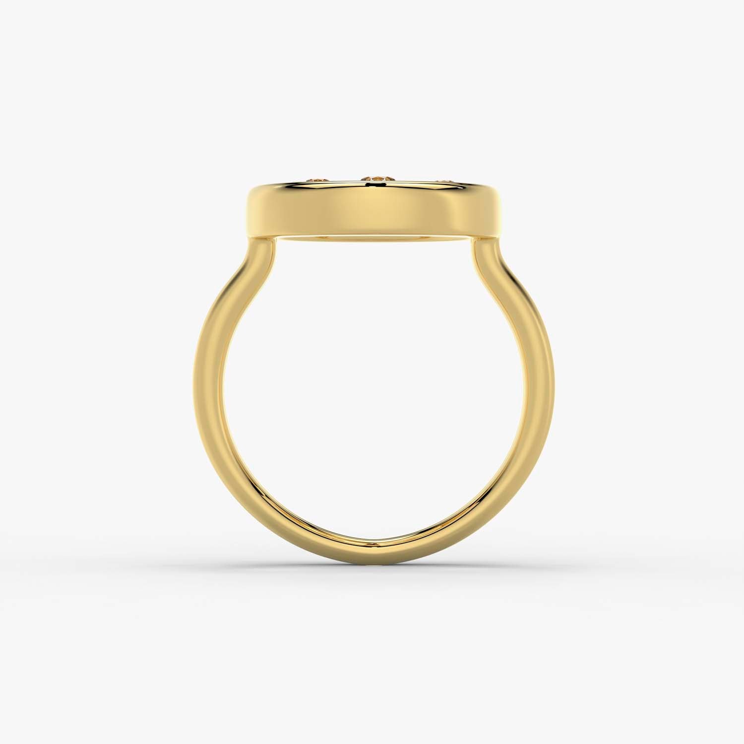 The Capsule Mosaic Ring